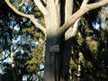 pb180029.jpg
